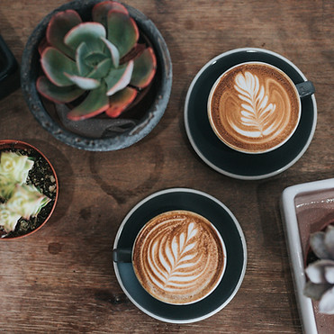 Pflanzen und Cappuccinos