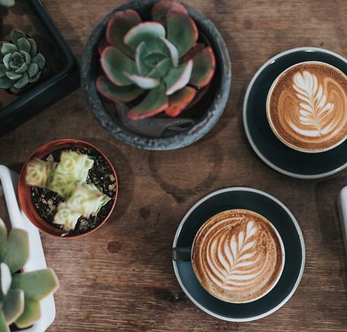 Plants and Coffees