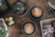 植物とコーヒー