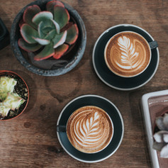 Plants and Coffees