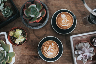 Plants and Coffees