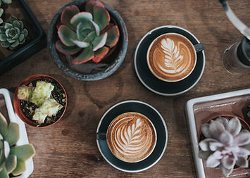 Latte Art With Succulents
