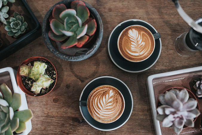Plants and Coffees