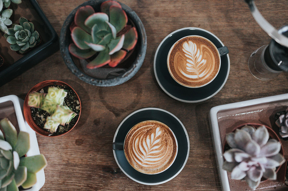 Latte Art With Succulents