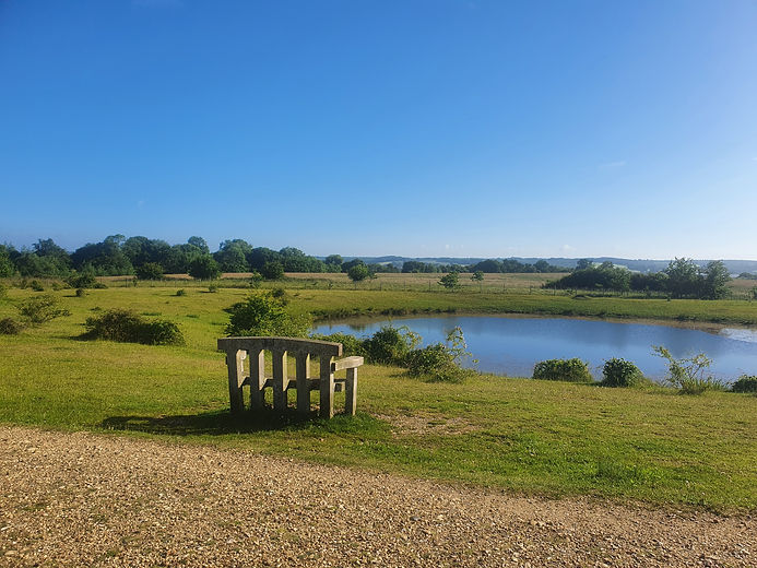 bench at greenham.jpg