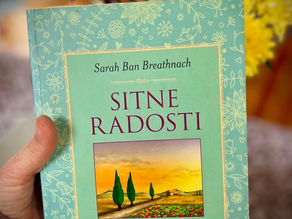 Treba imati Sitne radosti