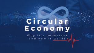 The Circular Economy: Why It's Important And How It Works
