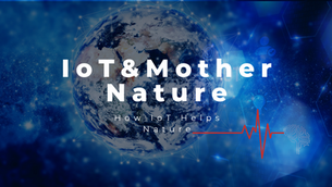 Co-Creating a Sustainable Future: How IoT can aid Mother Nature