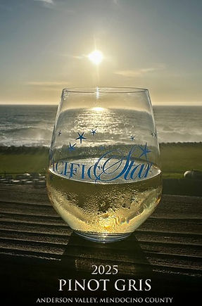 Pinot Gris 2025.jpg