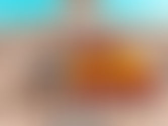 14,5 мільйона євро виділить Іспанія Україні на продовольчу безпеку