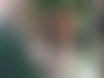 Автомобілі для ЗСУ, продукти для ВПО – як допомога волонтерки Антоніни Мичківської наближає перемогу