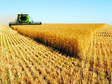 У грудні Україна збільшила аграрний експорт