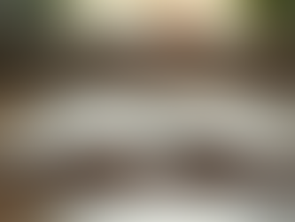 Reflecting on the Past Year: Setting Intentions for the New Year Ahead