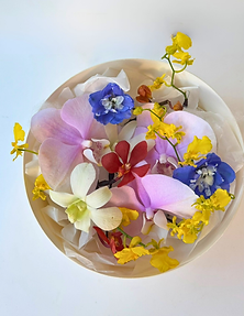 HP用補正画像.zip - 65.png