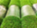 TURF.jpg