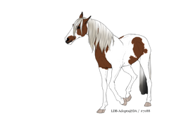 ddvblsj-318108b9-8b0b-422f-99ed-3aaf2529