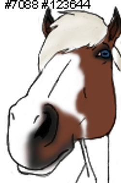 ddw6uke-6b5e0125-10e8-48ab-9f88-9ac58396