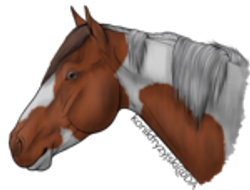 ddw6udf-fed642aa-477f-43da-ad9f-1644c851