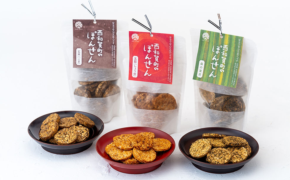 WEB逕ｨ-1050016.jpg