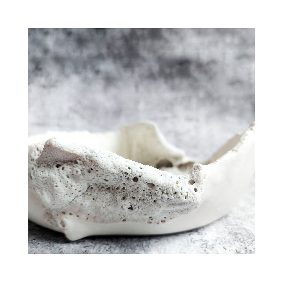 Thumbnail: THALIA vessel II, 2021