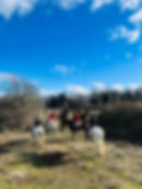 Alendal's Farm - Chilliwack