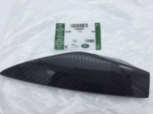 F-Type Blade Carbon Fibre Spoke Finisher (Rear)
