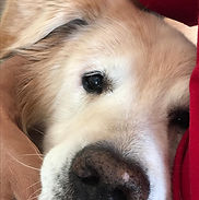 Imagen de WhatsApp 2025-10-07 a las 15.07.38_b270ff44.jpg