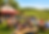 Cutchogue Civic Summer Social