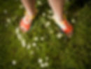 young-flicka-bär-sandaler, -Sommaren-daisies