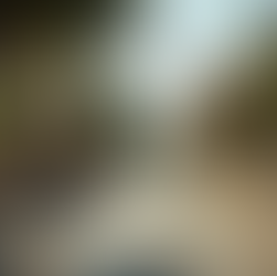 Top Neighborhoods for Buying Homes in Jerusalem - Jerusalem Neighborhood Insights