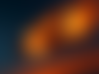 קולומביה, מירון וצאלים: כשלי שתיקה והיררכיה בקבלת החלטות קריטיות