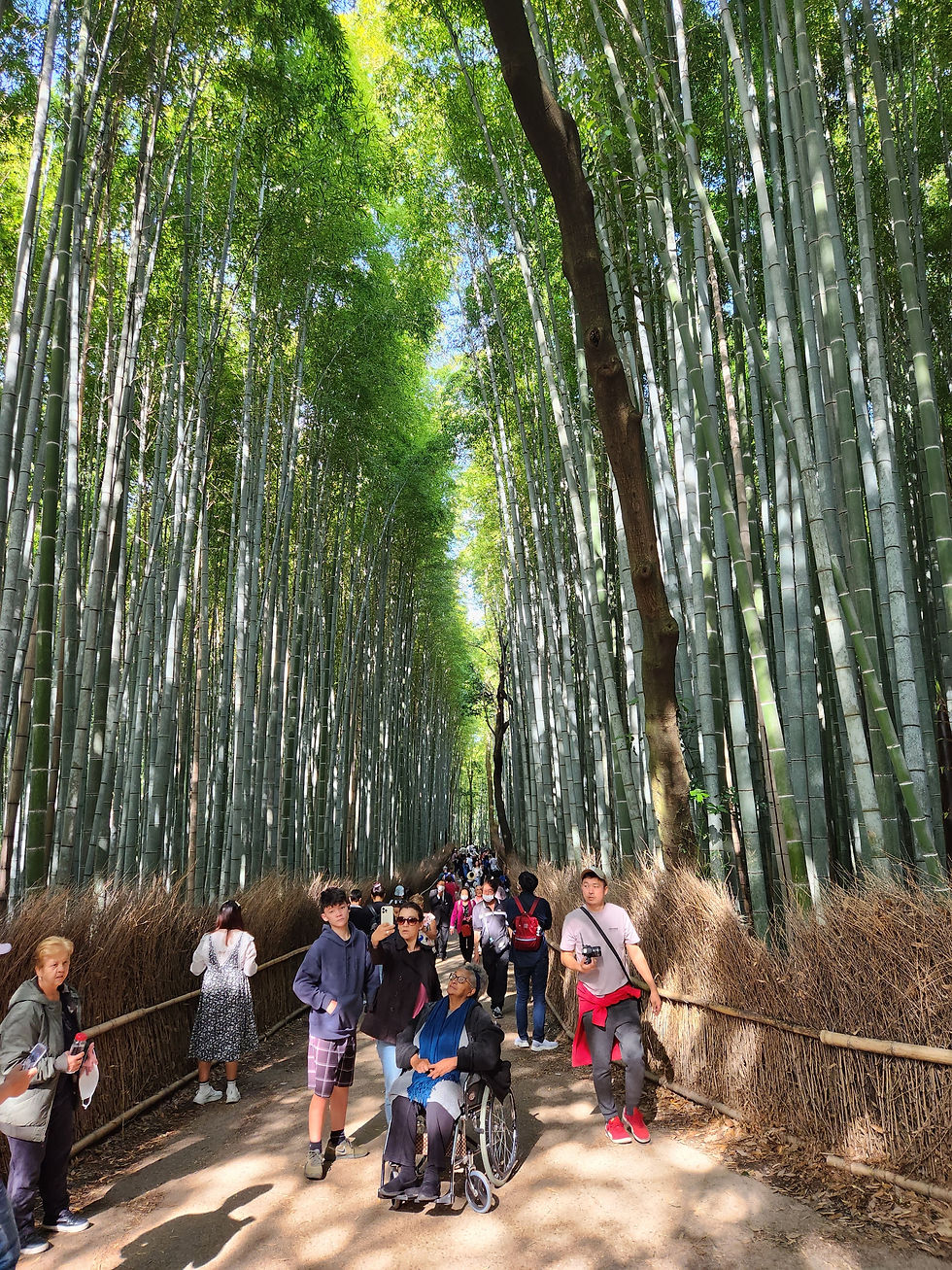 Elderly woman in wheelchair takes selfie with family in Arashiyama Bamboo Forest, Kyoto, Japan
