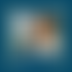 Συνέντευξη με τον Αντρέα Σιέγκα