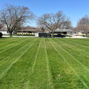 Lush Lawn Landscaping