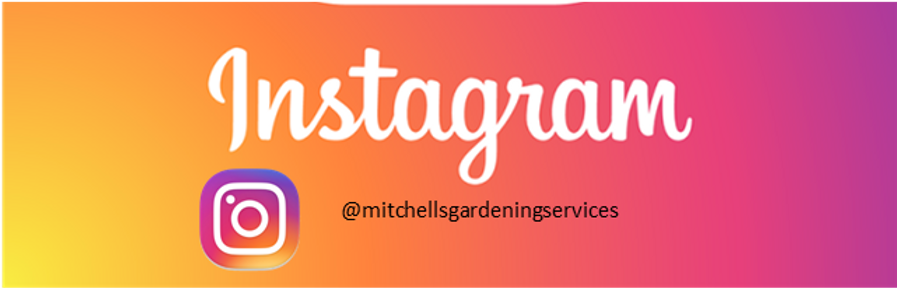 instagram banner 3.png
