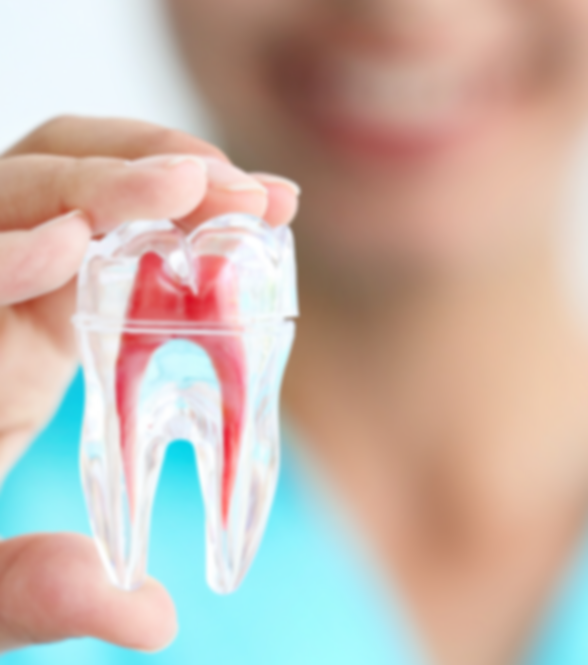 root canal dentist in Warren, NJ