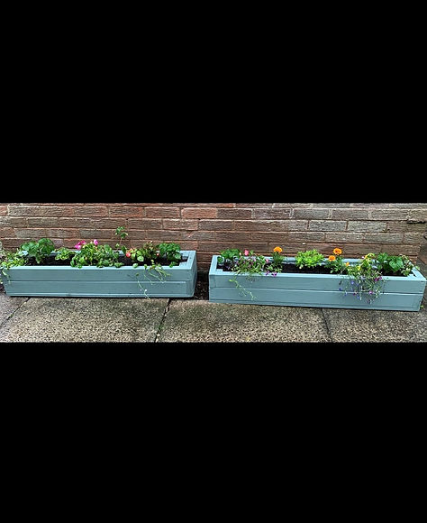 CORINNE PLANTER REVIEW PIC.jpg