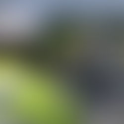 Hány fénykép igazolja a gyorshajtást? 