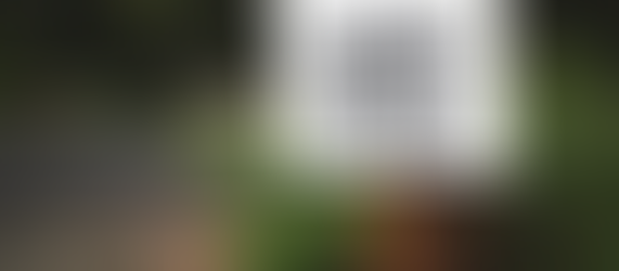 My Journey Towards Self-Compassion: Feeling and Healing Through Life’s Challenges 