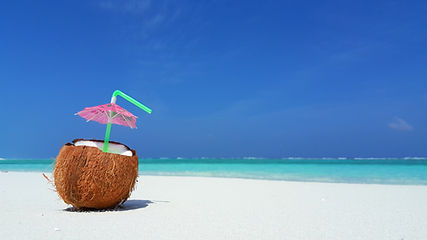Sandbank Excursion