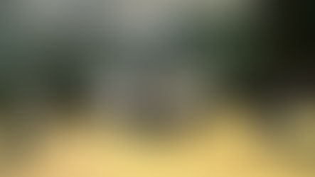 グラウンド納め　2025