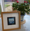 Looking for a Christmas present idea???