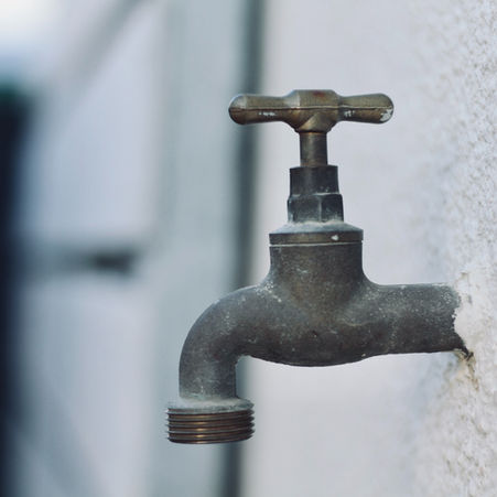 Heavy Metals, Mast Cell Activation, and Histamine Intolerance