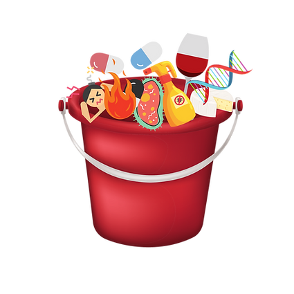 histamine bucket (2).png