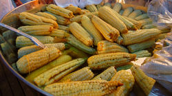 DSC07035