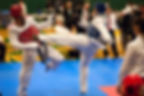 Master Hwang in action