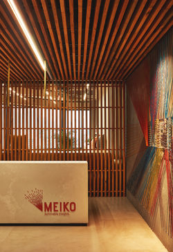 we-are-size-meiko-photo©monica-barrenech