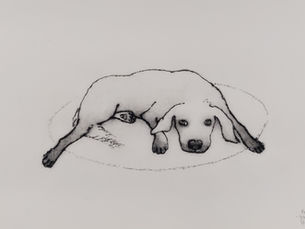 06.11-30.11: Søssa Magnus - "Mor`n!"