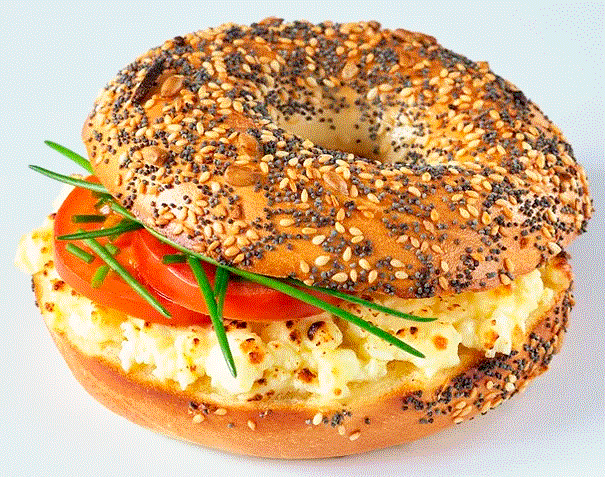 SOFIA BAGEL