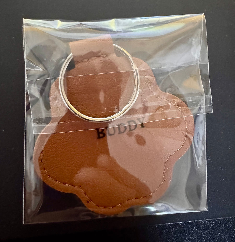Thumbnail: Pet Leather Paw fur keepsake with name